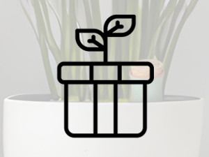 Plant integration