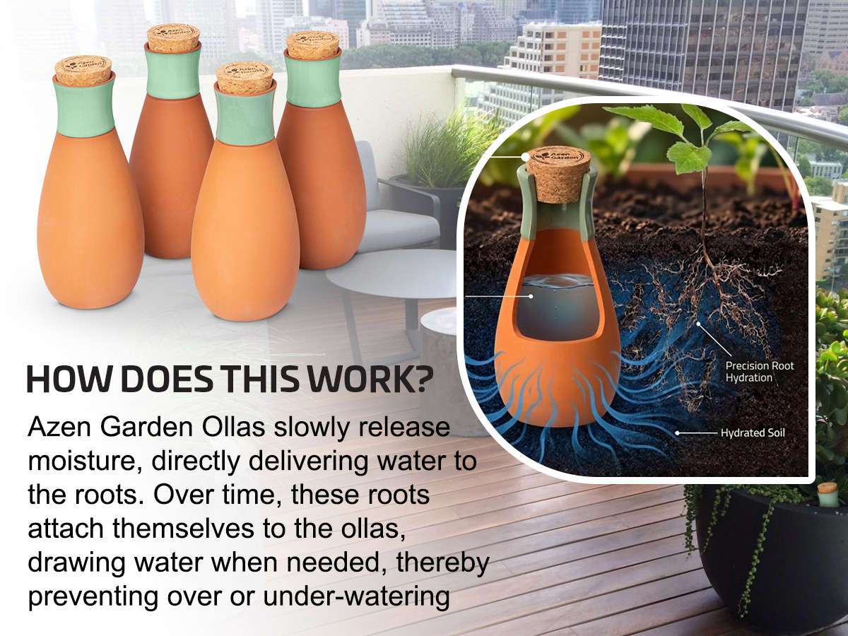 How Azen Garden ollas work
